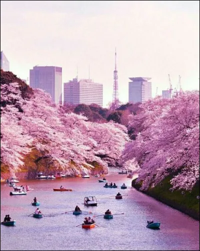 Quelle est la capitale du pays ?