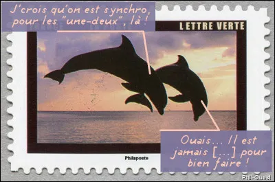 Dans quelques cas, les dauphins peuvent s'associer aux thons et même aux [...qui donc ?] pour des séances de chasse commune. Mais là, ils parlent de la prochaine coupe de foot, [où ça ?]...