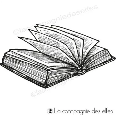 Comme type de livres, vous préférez :