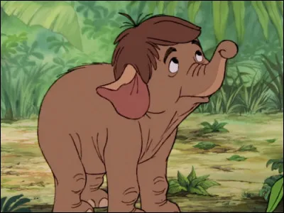 Quel est le nom de cet éléphant ?