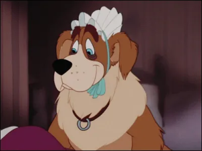 Comment s'appelle ce chien ?