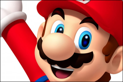 Quel est le métier de Mario Bros ?
