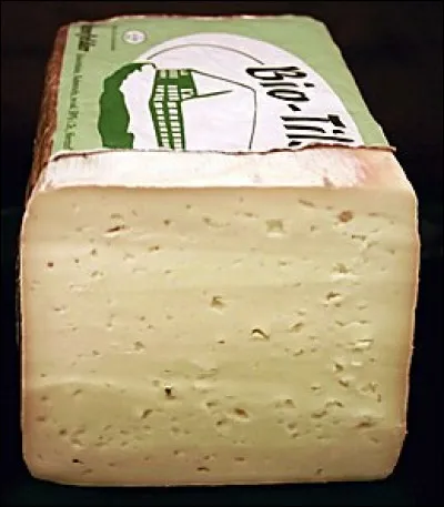 Quel est le nom du fromage au lait de vache à pâte pressée non cuite, fabriqué au Danemark ?