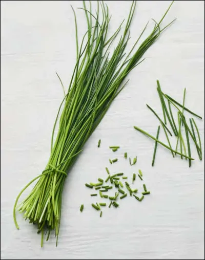 C'est une plante aromatique :