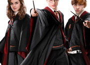Quiz Qui sont ces personnage dans Harry Potter ?
