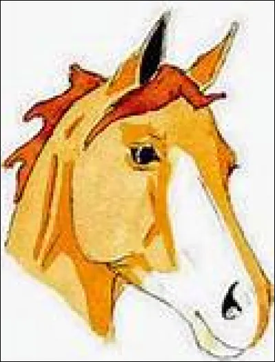 Comment s'appelle la marque blanche sur la tête du cheval ?