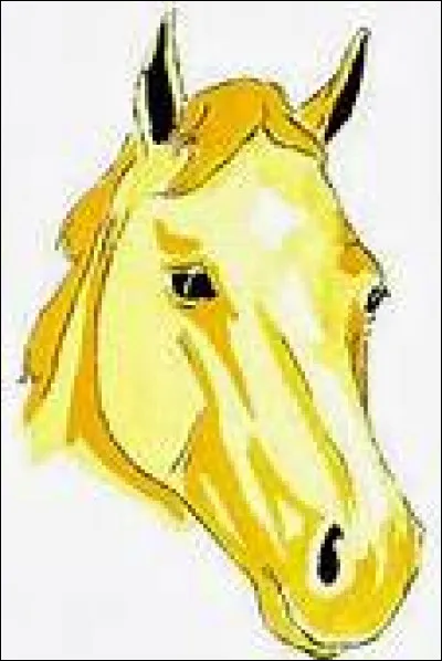 Comment s'appelle la marque blanche sur la tête du cheval ?