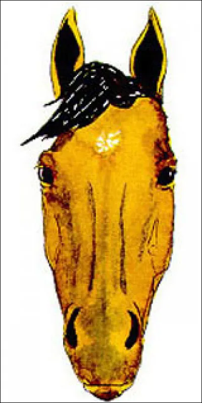 Comment s'appelle la marque blanche sur la tête du cheval ?