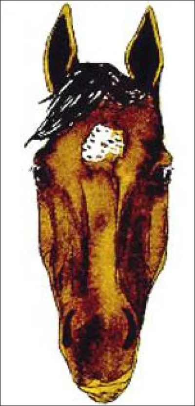 Comment s'appelle la marque blanche sur la tête du cheval ?