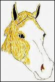 Quiz Galop 3
