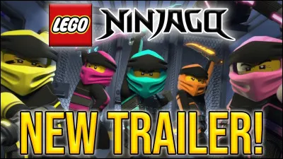 Ce sont les nouveaux ninjas. Pourquoi ont-ils été engagés ?