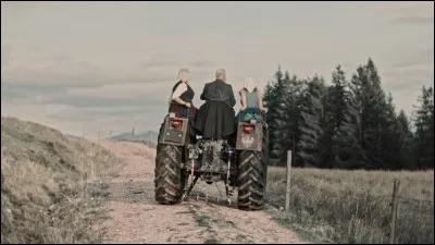 Complétez : 
"In feines Fräulein wäre..."