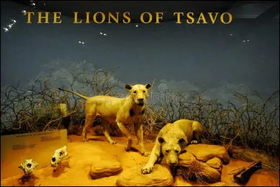 On la lâche parfois pour l'ombre !