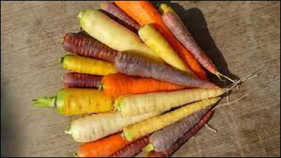 Comment dit-on "carotte" en portugais ?