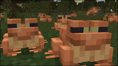 On peut prendre des têtards dans un seau.