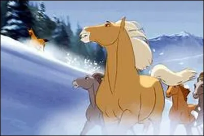 La mère de Spirit a-t-elle un nom ?