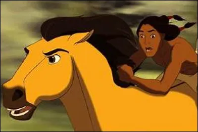 Quelle est la robe de Spirit ?