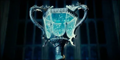 Que penses-tu des élèves des autres écoles lors du tournoi des trois sorciers ?