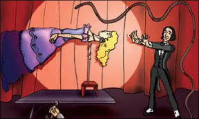 C'est un art du spectacle qui consiste &agrave; cr&eacute;er des illusions :