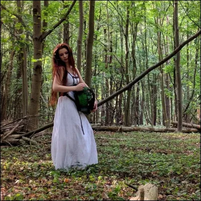 Complétez : 
"Die einmal blühten dort im..."