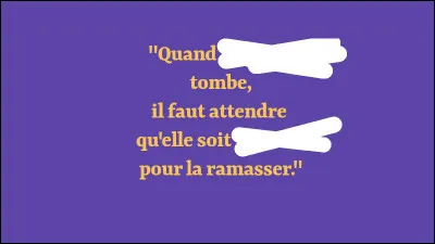 Sorti du contexte, il faut avoir fait Polytechnique pour comprendre ce que veut dire [...qui donc ?], mais c'est beau comme du Adamo, non ?