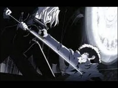 Quels sont les deux points communs entre Spike et Vicious ?