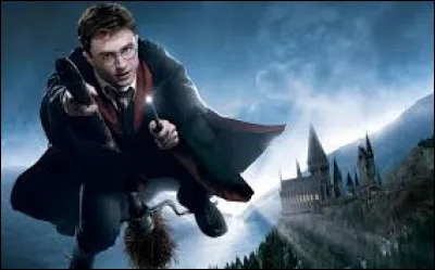 Dans ''Harry Potter'', lequel de ces personnages te ressemble le plus ?