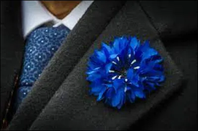 En France, comment appelle-t-on le symbole de la mémoire et de la solidarité envers nos anciens combattants ?