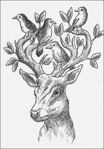 Quel est ton animal favori ?