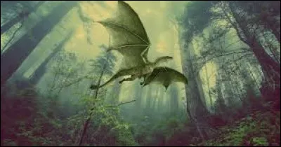 Qu'est-ce qu'un dragonnet ?