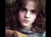 Test Pourrais-tu tre ami avec Hermione Granger ?