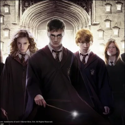 Quel est ton personnage pr&eacute;f&eacute;r&eacute; dans ''Harry Potter'' ?