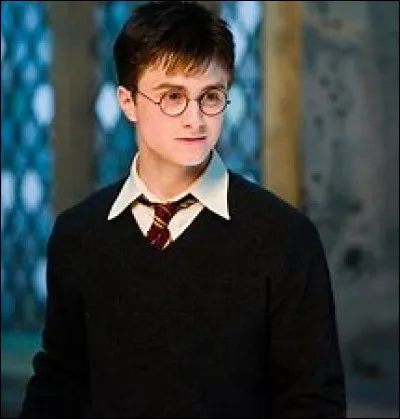 Qui préfères-tu dans la saga "Harry Potter" ?