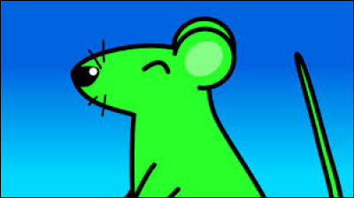 Selon une célèbre comptine, où la souris verte courait-elle ?