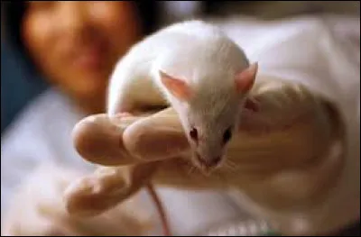 Qui est l'auteur du roman "Des souris et des hommes", publié en 1937 ?