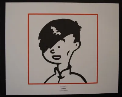 Dans quel album Tintin doit-il sauver son jeune ami chinois : Tchang ?