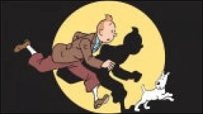 Quel est le nom de famille de Tintin ?