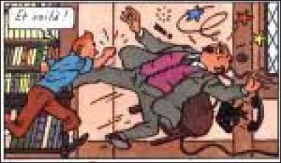 Quel sport de combat Tintin maitrise-t-il en particulier ?