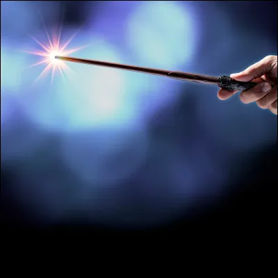 Quel est ton sort préféré ?