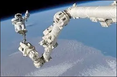 Cette expression viendrait du Canada et plus particulièrement du Québec. Quelle partie du corps désigne- t-on lorsque le prix devient excessif ?