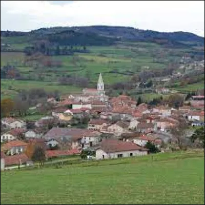Nous sommes en Auvergne-Rh&ocirc;ne-Alpes, &agrave; Saint-Martin-la-Sauvet&eacute;. Village de l'arrondissement de Roanne, il se situe dans le d&eacute;partement ...