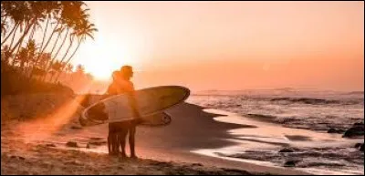 Dans quel pays a eu lieu le record de la plus grosse vague surfée au monde ?