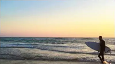 Dans le film "Point Break", qui incarne Johnny Utah qui devient surfeur ?