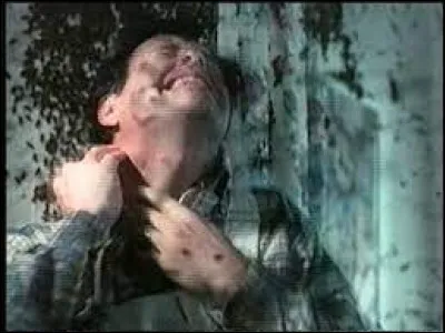 Qui est le réalisateur du film "L'Invasion des abeilles tueuses", publié en 1995 ?