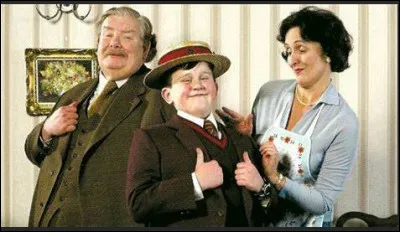 Qui garde Harry pendant son enfance après la mort de ses parents ?