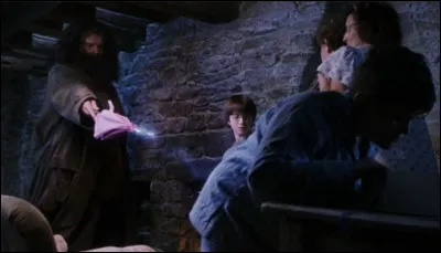 Comment s'appelle le géant qui vient chercher Harry ?