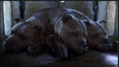 Quelle est la première épreuve pour la trouver ?