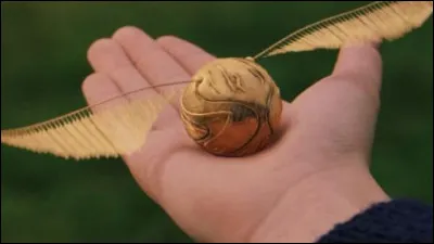 Quel est ton objet préféré parmi ceux-ci ?