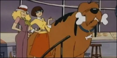 Qui sont Sandy et Monica dans "Tout doux Dinky" ?