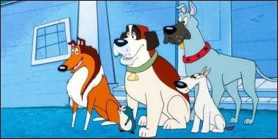 Qui recueille Beethoven dans le dessin animé éponyme ?